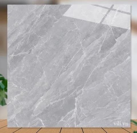 Gạch lát nền 60X60 Catalan 61038 men bóng