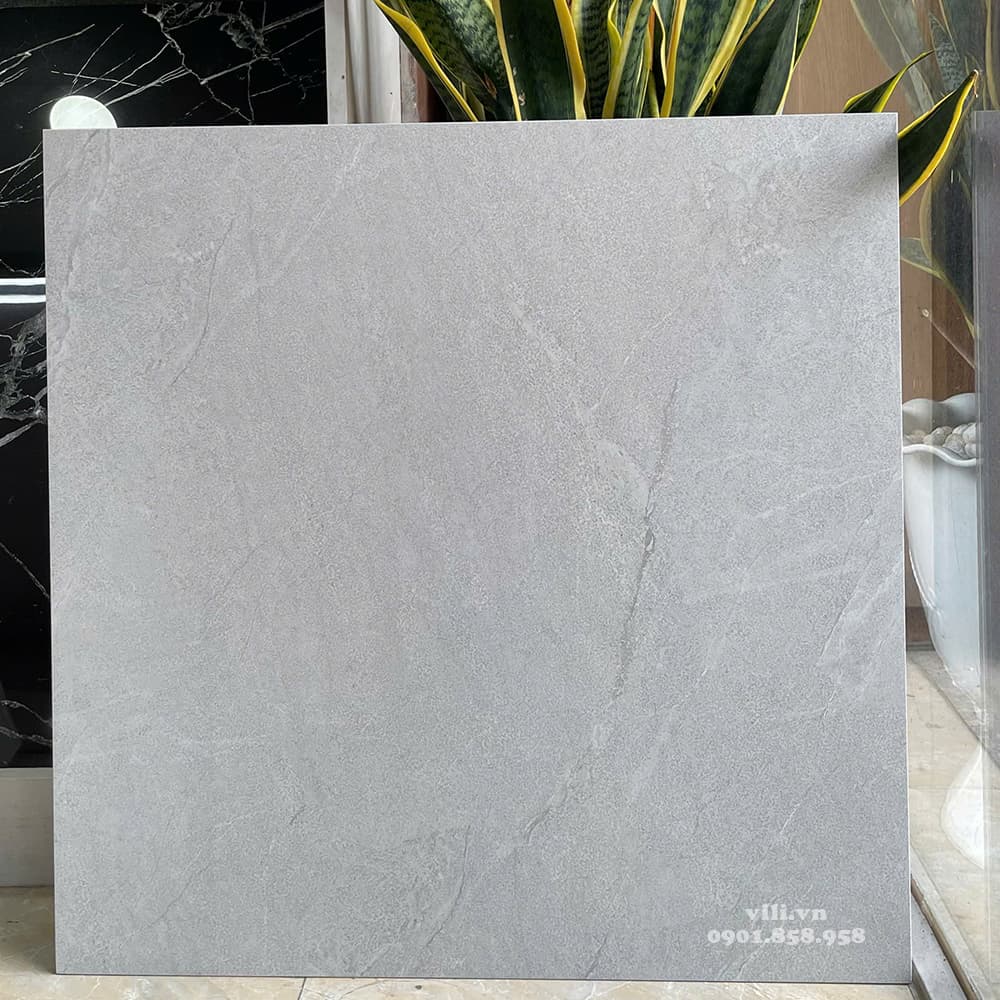 Gạch lát nền 60X60 Viglacera 6643SM đá mờ