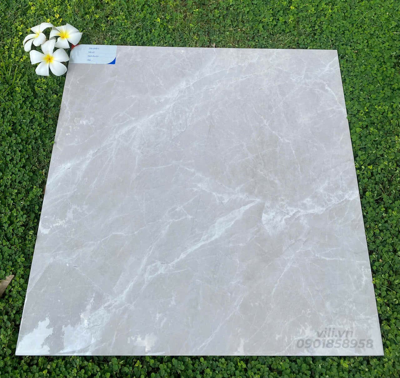 Gạch lát nền 60X60 đá bóng TTB606B