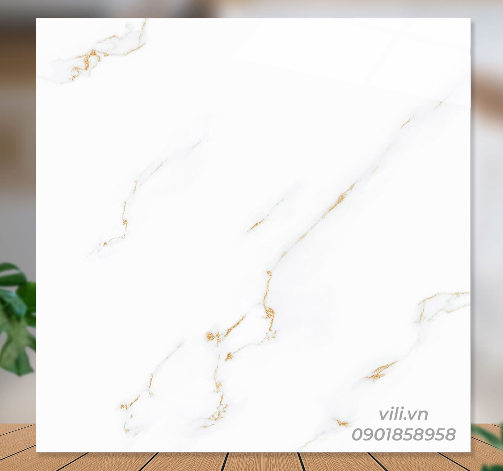 Gạch lát nền 60X60 Catalan 60076 đá bóng
