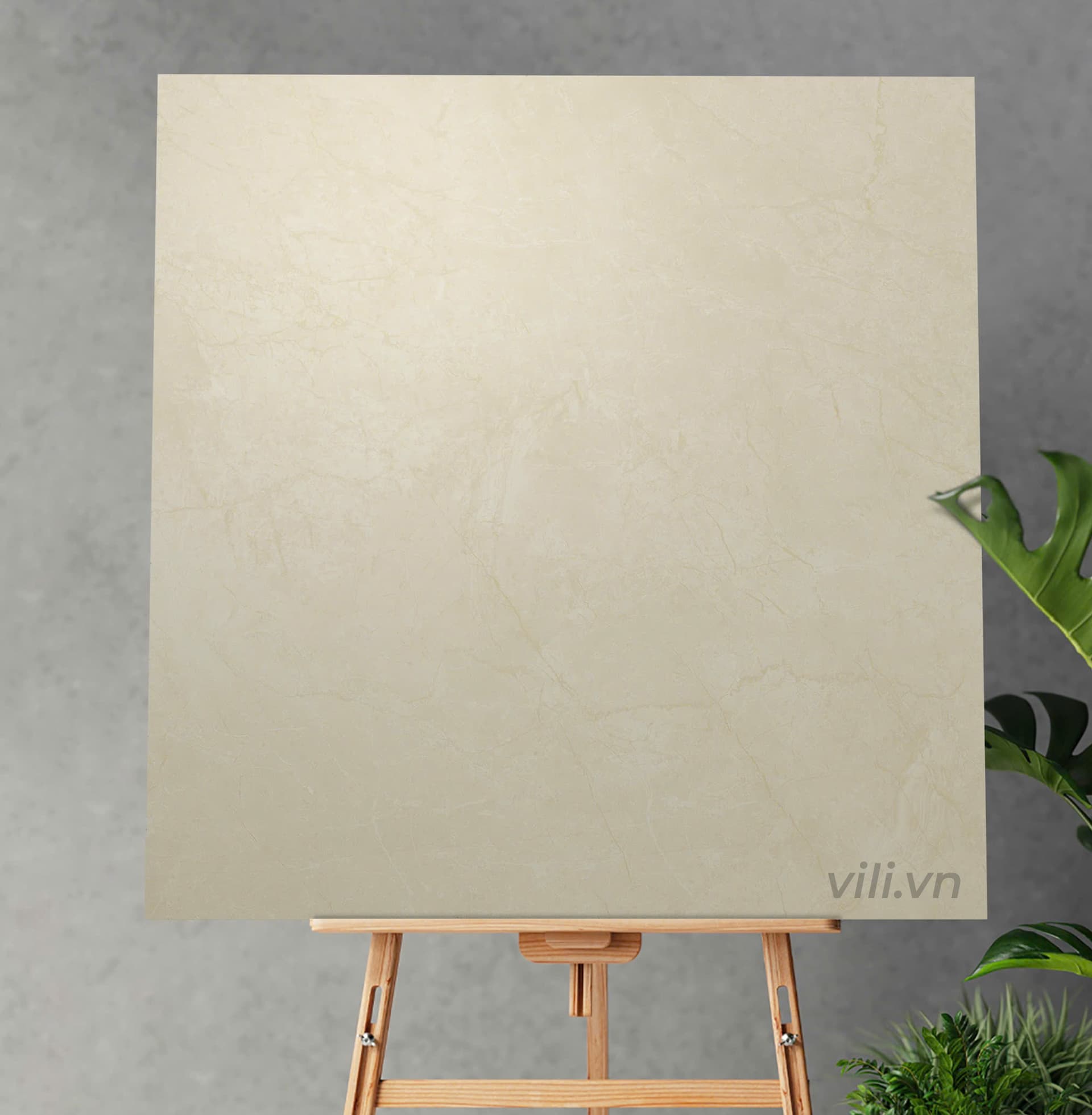 Gạch lát nền 80X80 Viglacera VHP8802 mờ matt