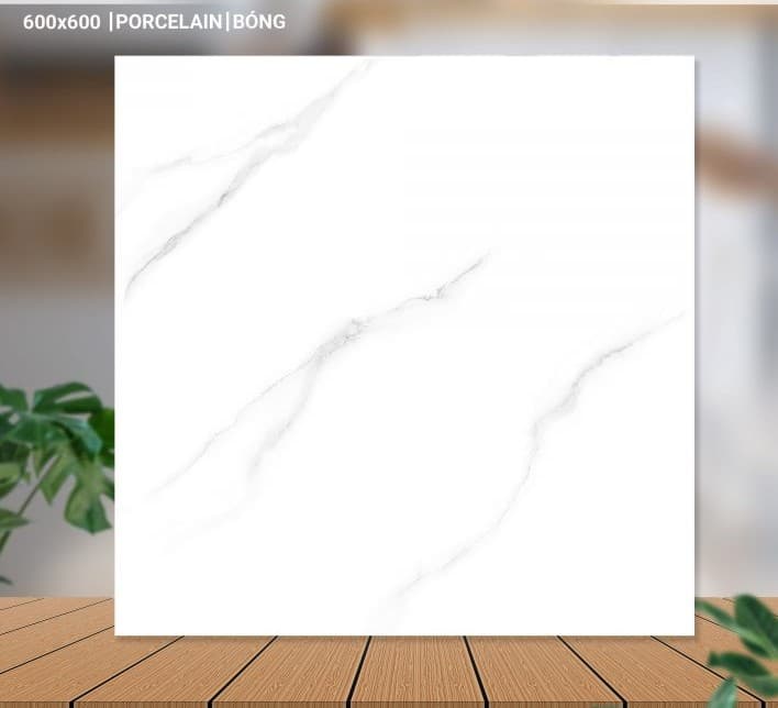 Gạch lát nền 60X60 Catalan 65001 đá bóng trắng vân mây