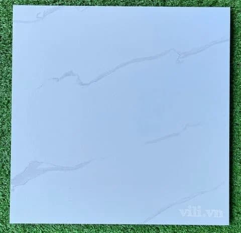 Gạch lát nền 30X30 Blue Dragon 11300 đá nhám