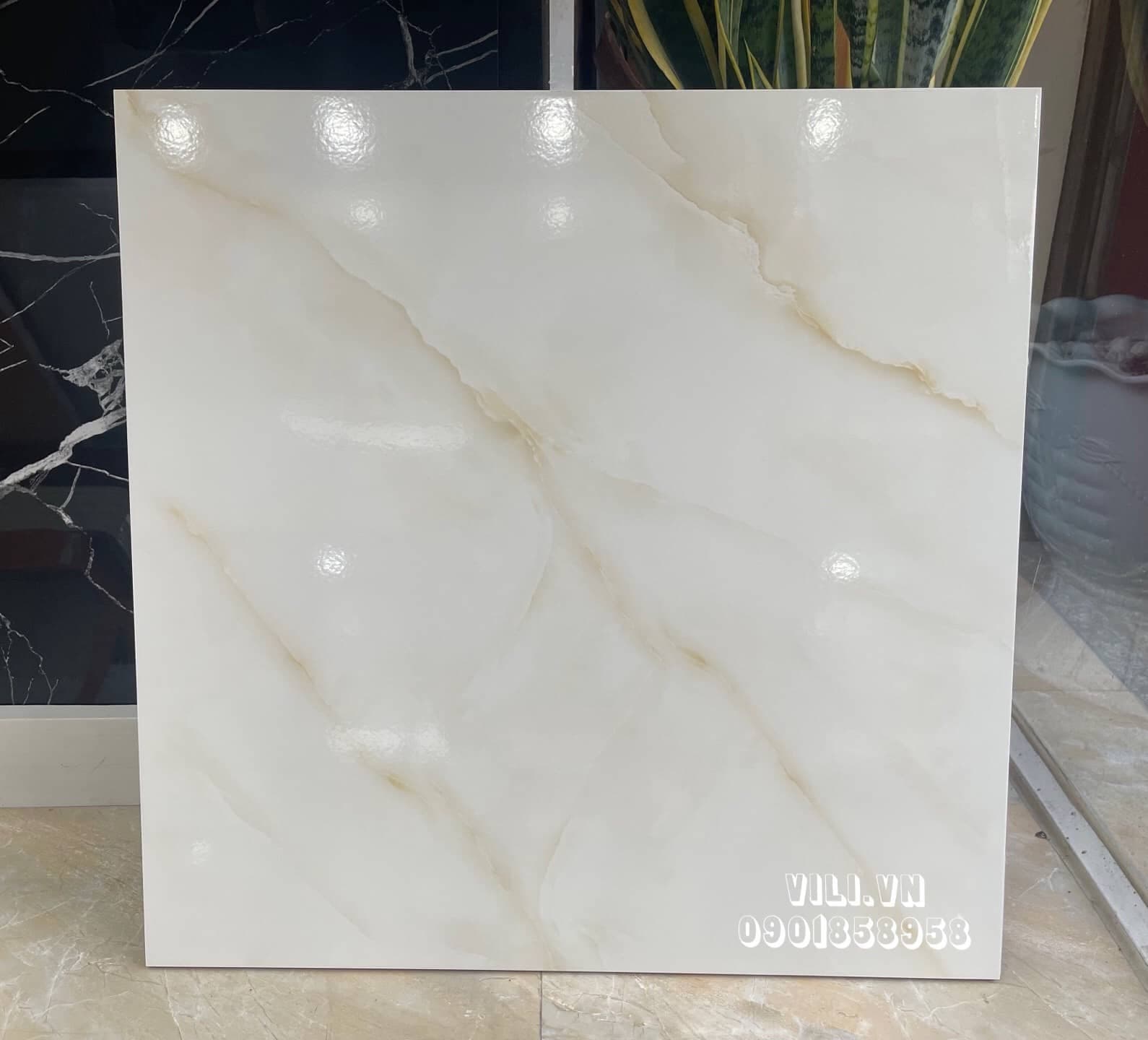 Gạch lát nền 60X60 TTC CB66022 men bóng