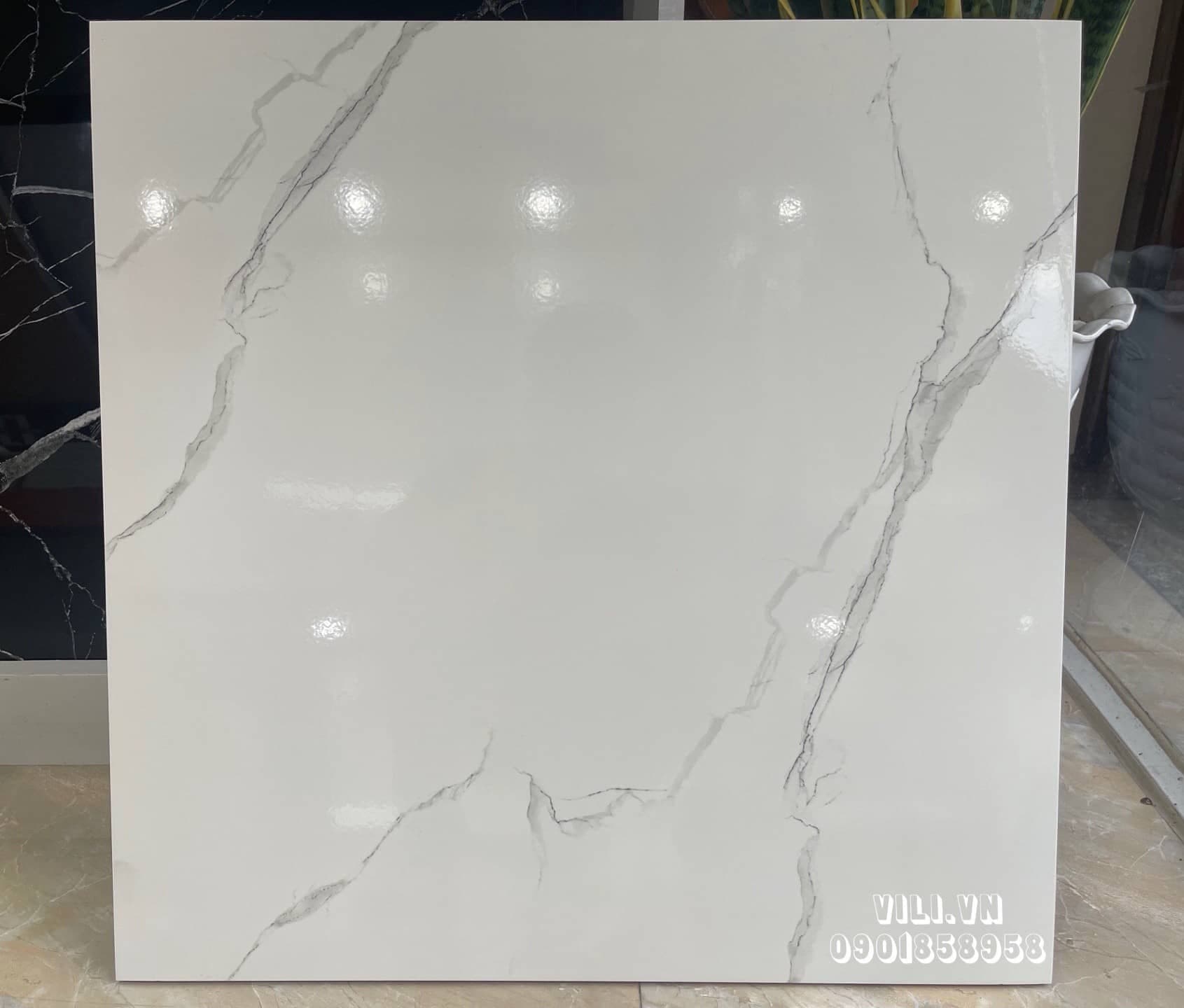Gạch lát nền 60X60 TTC CB66024 men bóng trắng vân mây