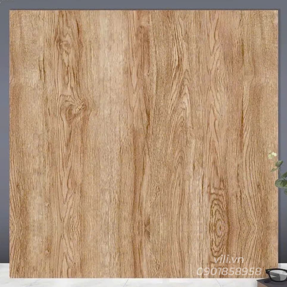 Gạch lát nền 60X60 TTC CM66203 men mờ