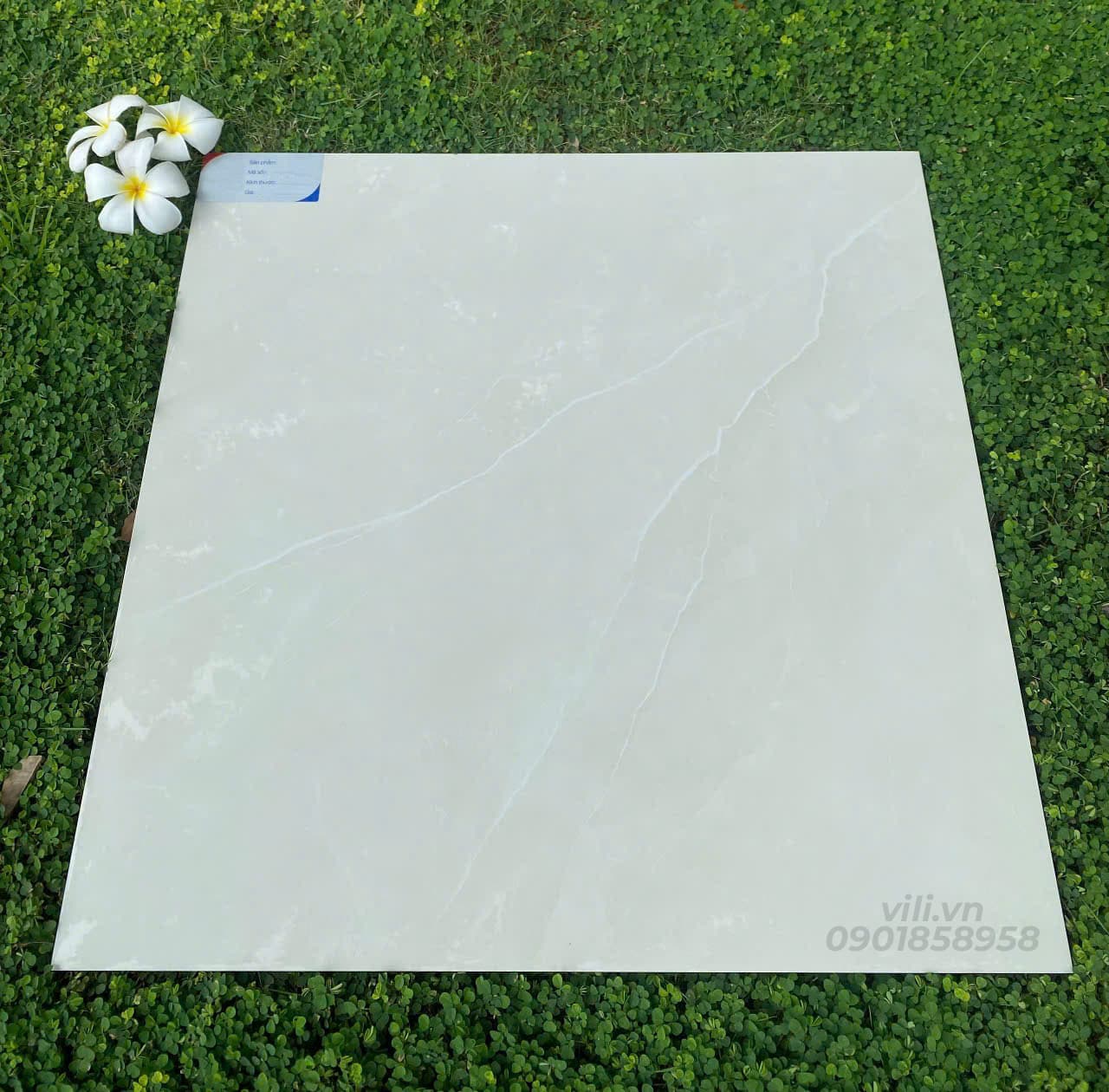 Gạch lát nền 60X60 đá bóng TTB603A