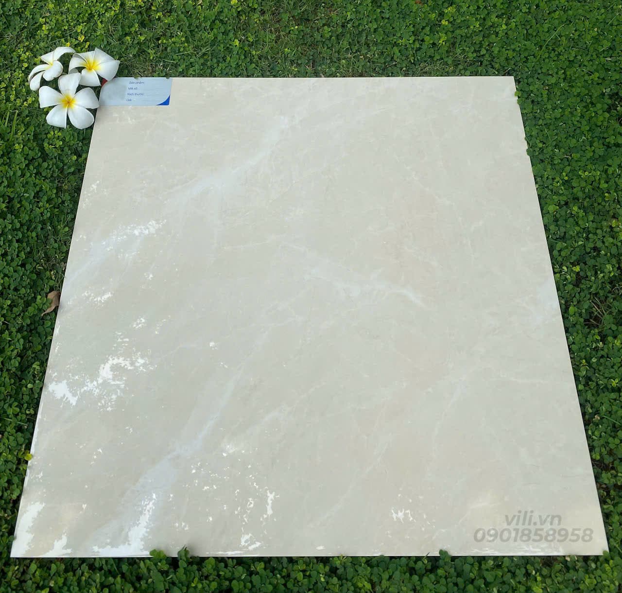 Gạch lát nền 60X60 đá bóng TTB606A