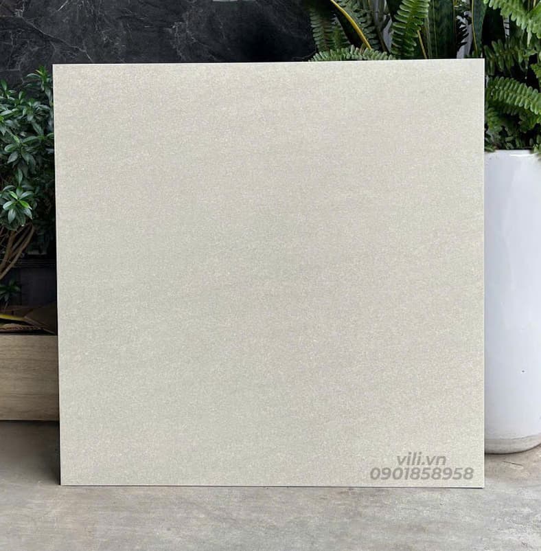 Gạch lát nền 60X60 đá mờ nhám SMM66003