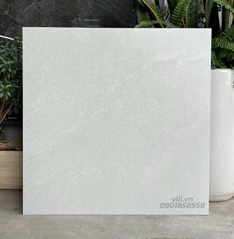 Gạch lát nền 60X60 đá mờ nhám SMM66005