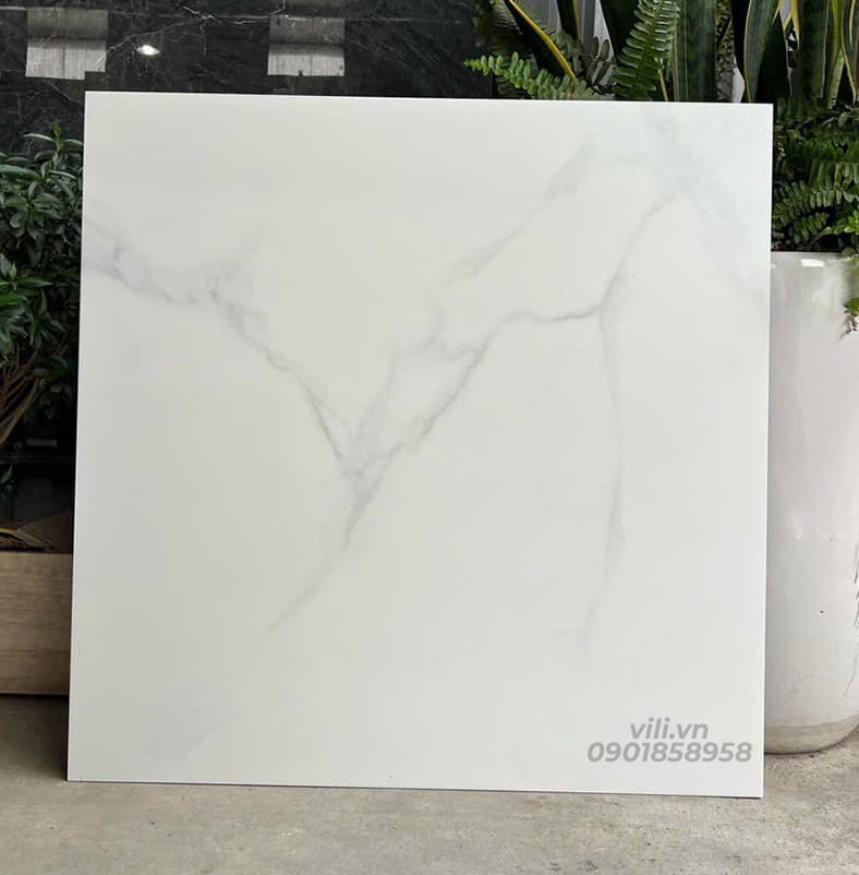Gạch lát nền 60X60 đá mờ nhám SMM66010