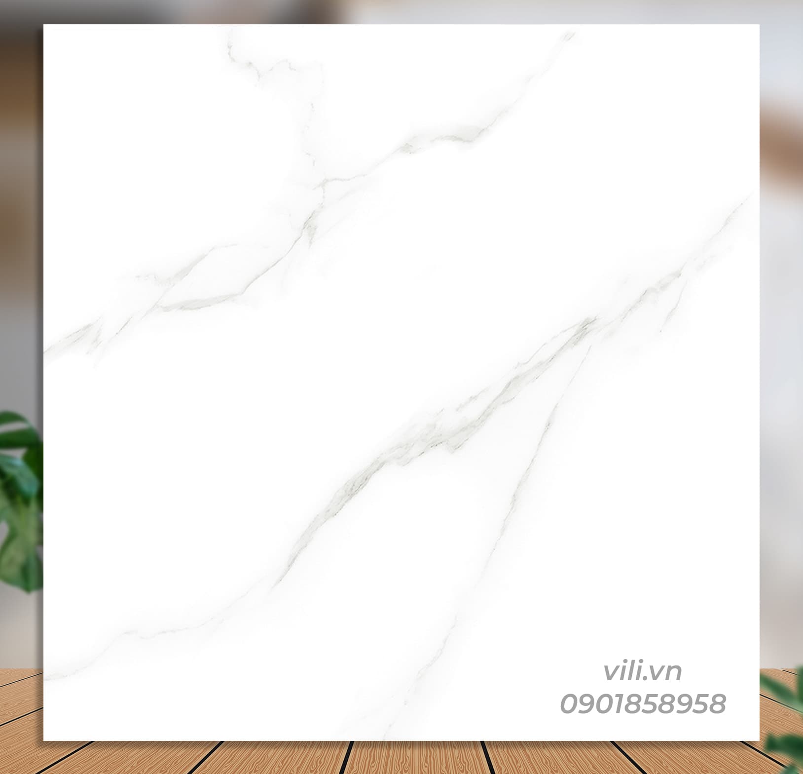Gạch lát nền 60X60 Catalan 60086 đá bóng