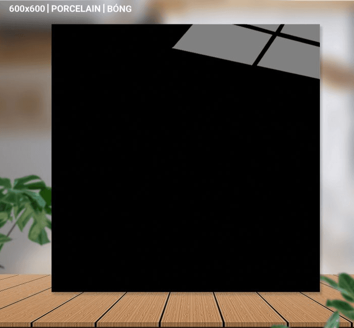 Gạch lát nền 60X60 Catalan 66007 đá bóng đen trơn