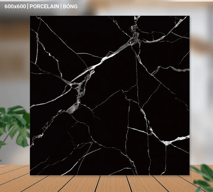 Gạch lát nền 60X60 Catalan 66020 đá bóng đen vân trắng