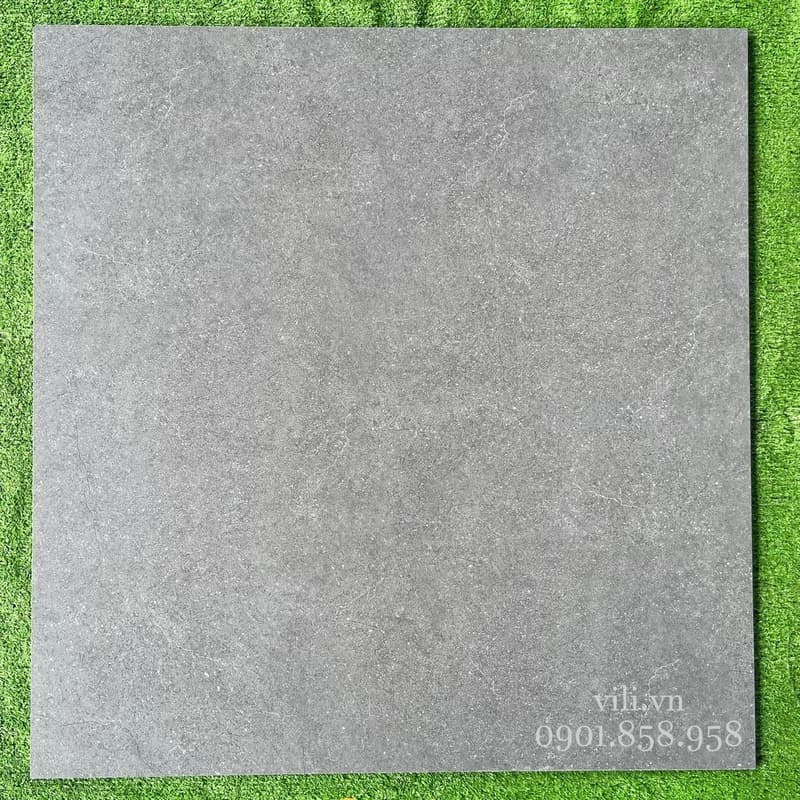Gạch lát nền 80X80 Tasa 9002 đá mờ xám xi măng