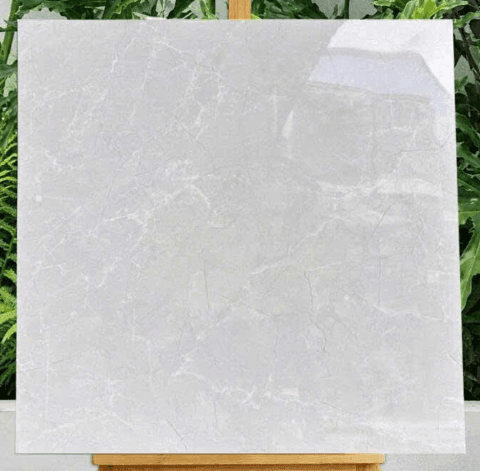 Gạch lát nền 60X60 Prime 30005 Đá bóng