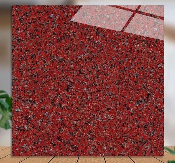 Gạch ốp lát 60x60 Catalan 79004 đá bóng