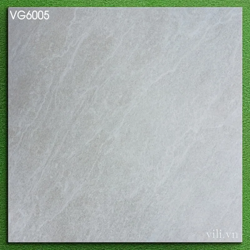 Gạch lát nền 60X60 Viglacera VG6005 mờ