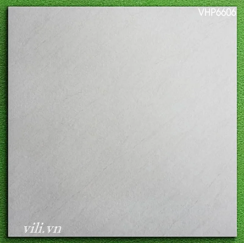 Gạch lát nền 60X60 Viglacera VHP6606 đá mờ