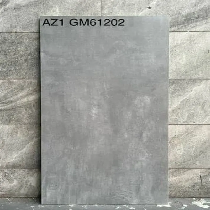 Gạch lát nền 60X120 Viglacera AZ1 GM61202 mờ xám xi măng 0