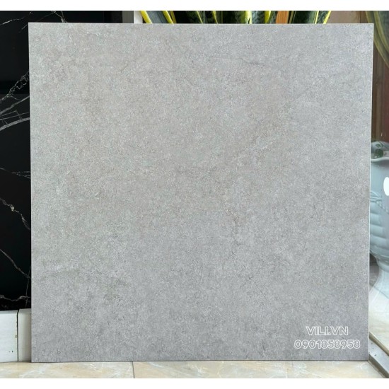 Gạch lát nền 60X60 Prime 25006 đá nhám