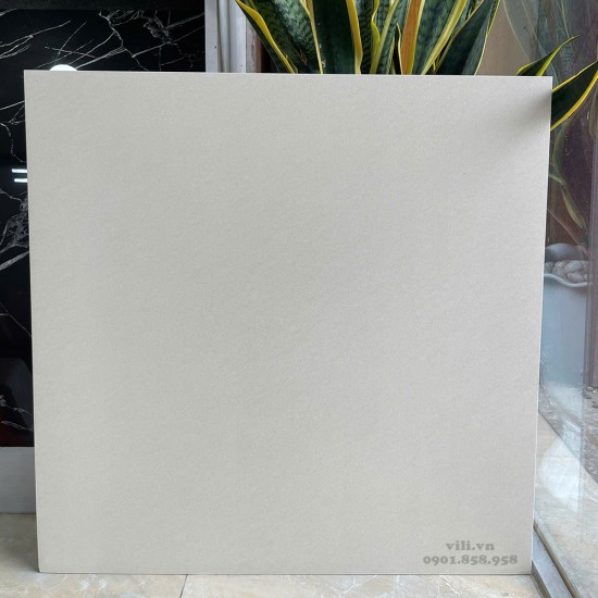 Gạch lát nền 60X60 Viglacera 6641SM đá mờ