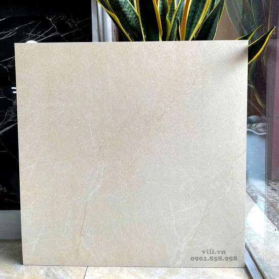 Gạch lát nền 60X60 Viglacera 6642SM đá mờ
