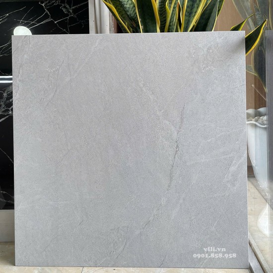 Gạch lát nền 60X60 Viglacera 6643SM đá mờ