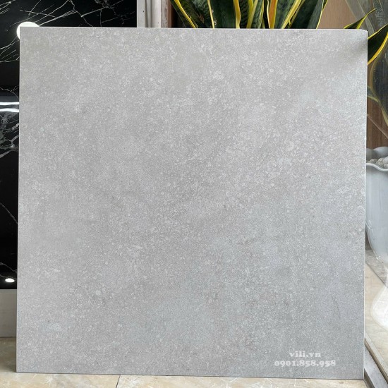 Gạch lát nền 60X60 Viglacera 6644SM đá mờ