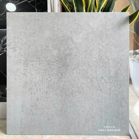 Gạch lát nền 60X60 Viglacera 6646SM đá mờ