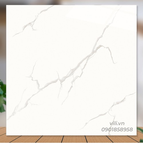Gạch lát nền 60X60 Catalan 69058 đá bóng