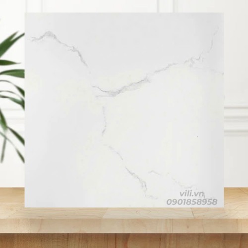 Gạch lát nền 60X60 BD6367 men bóng