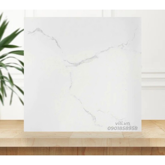 Gạch lát nền 60X60 BD6367 men bóng