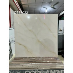 Gạch lát nền 60X60 TTC CB66022 men bóng