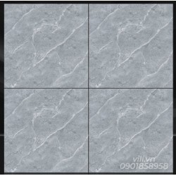 Gạch lát nền 60X60 TTC CM66007 men mờ