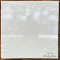Gạch lát nền 60X60 TTC FB66041 men bóng