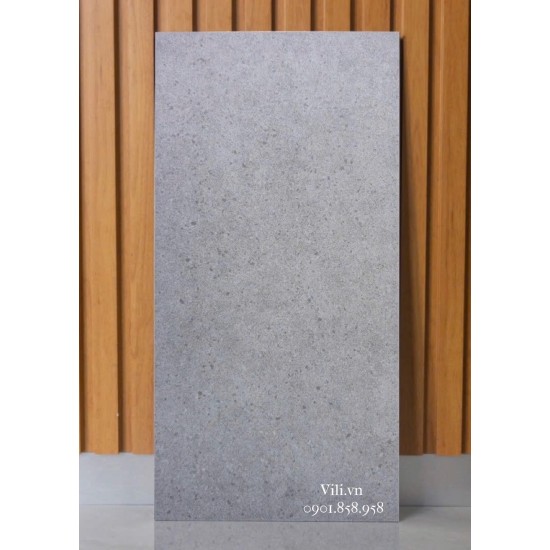 Gạch ốp tường 30x60 Feliz FH36221Y đá mờ