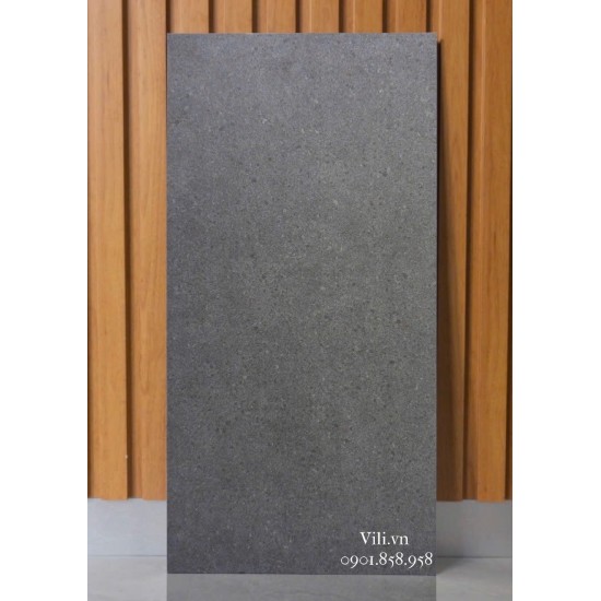 Gạch ốp tường 30x60 Feliz FH36322Y đá mờ