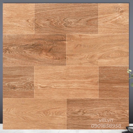 Gạch lát nền 60X60 TTC FM66205 men mờ