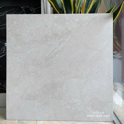 Gạch lát nền 60X60 Feliz FV66506Y đá mờ