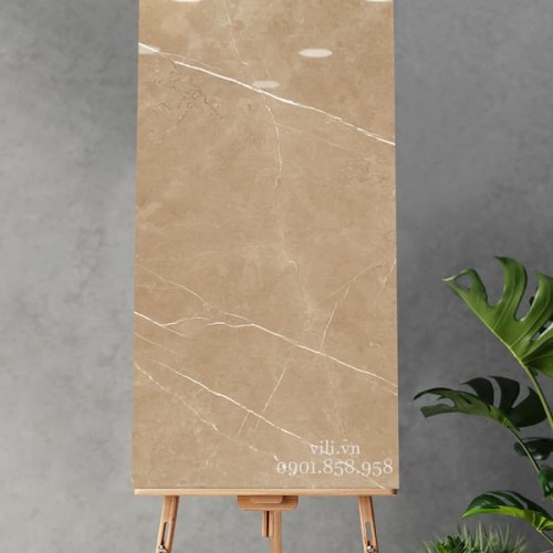 Gạch lát nền 60x120 Hoàn Mỹ 31054 đá bóng nâu vàng