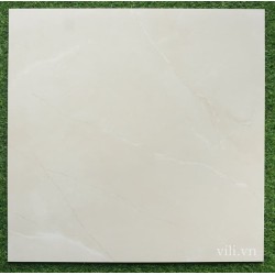 Gạch lát nền 60X60 Feliz 66608 đá mờ