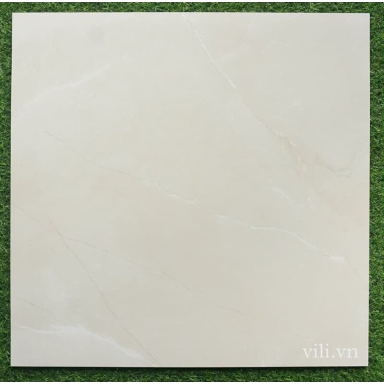 Gạch lát nền 60X60 Feliz 66608 đá mờ