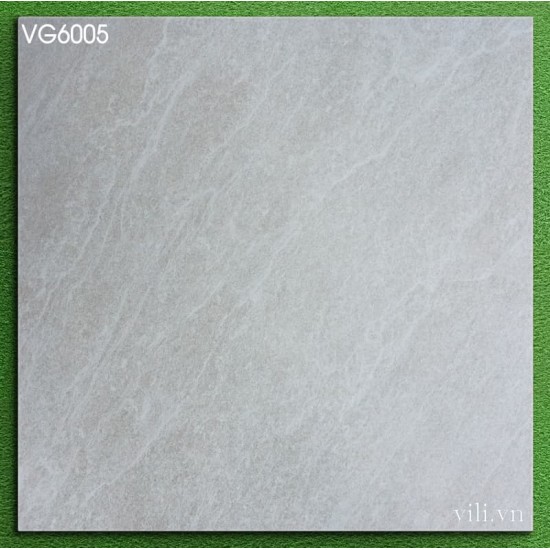 Gạch lát nền 60X60 Viglacera VG6005 mờ