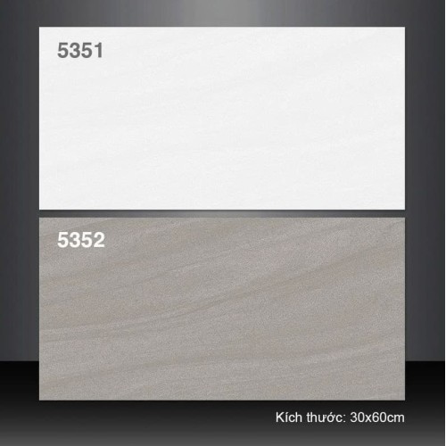 Gạch ốp tường 30X60 Tasa 5351 - 5352 đá mờ