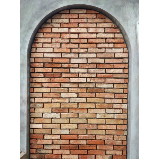 Gạch cổ bìa ốp tường 5x20-21 cm ốp trang trí