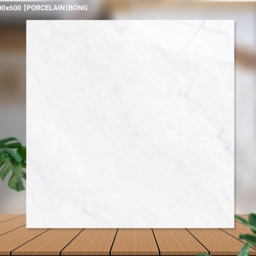 Gạch lát nền 60X60 Catalan 65003 đá bóng