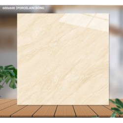 Gạch lát nền 60X60 Catalan 65006 đá bóng