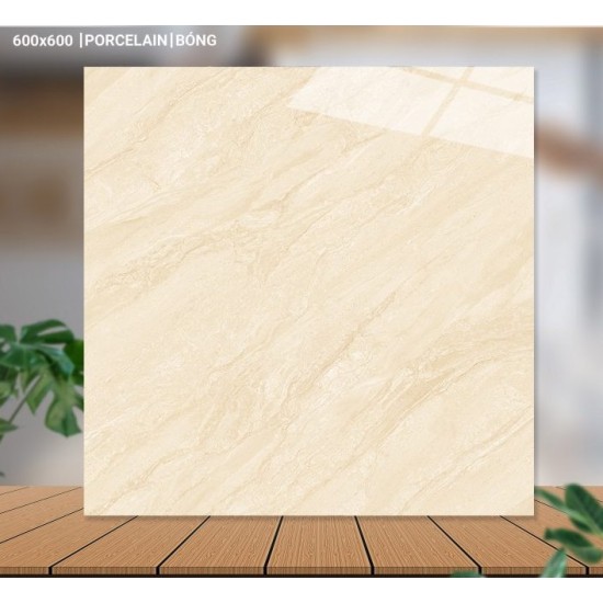 Gạch lát nền 60X60 Catalan 65006 đá bóng