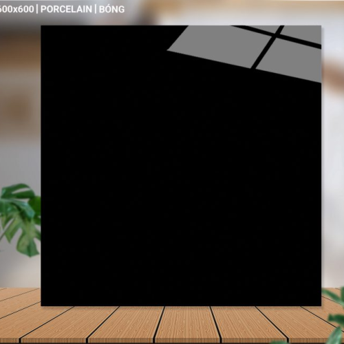 Gạch lát nền 60X60 Catalan 66007 đá bóng đen trơn